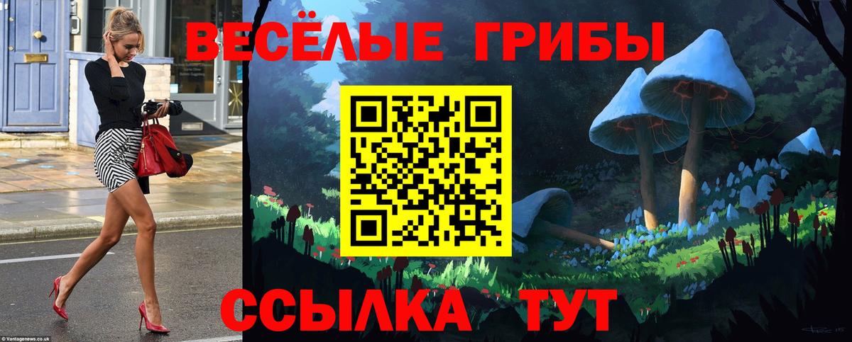 Галлюциногенные грибы мицелий  Вход с VPN  Кандалакша 